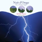 Nuit d'orage (Stormy Night)