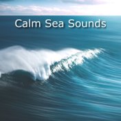 Calm Sea Sounds