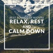 2020 Best Sounds of Nature: Relax, Rest and Calm Down