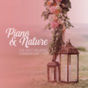 Piano & Nature: The Best Relaxing Combination 2020