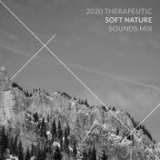 2020 Therapeutic Soft Nature Sounds Mix