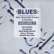 Blues Hits, Essential Tracks & Rarities, Vol. 7