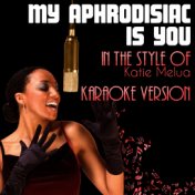 My Aphrodisiac Is You (In the Style of Katie Melua) [Karaoke Version] - Single