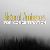 Natural Ambiences for Concentration