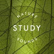 Study: Nature Sounds