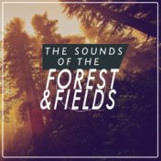 Sounds of the Forest & Fields