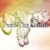 Feed The Storm