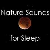 12 Calming Nature Sounds for Sleep
