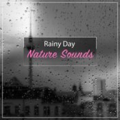 19 Rainy Day Nature Sounds