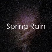 12 Sleep Sounds of Nature: Spring Rain