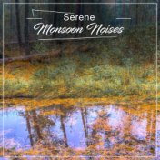 #16 Serene Monsoon Noises for Relaxation