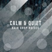 #10 Calm & Quiet Rain Drop Noises
