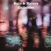 16 Rain and Nature Lullabies of Calming and Meditative Falling Rain