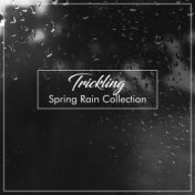 #14 Trickling Spring Rain Collection