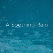 !!" A Soothing Rain "!!