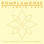 I Will Survive + This Love Mashup