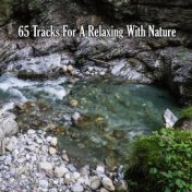 65 Tracks For A Relaxing With Nature