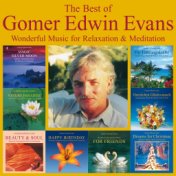 The Best Of Gomer Edwin Evans: Fantastic Instrumental Music