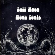 Moon Fools