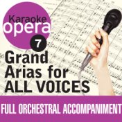 Karaoke Opera: Grand Arias For All Voices