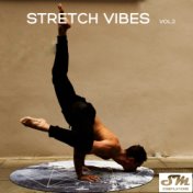 Stretch Vibes, Vol. 2