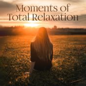 Moments of Total Relaxation: New Age Sounds of Relax, Rest & Calm, Nature & Ambient Best Music for Celebrate Free Time to Increa...