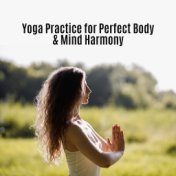 Yoga Practice for Perfect Body & Mind Harmony – New Age Music 2019 Collection for Blissful Meditation, Yoga Training, Deep Conne...