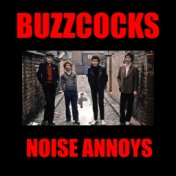 Noise Annoys