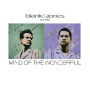 Mind of the Wonderful (All Mixes)