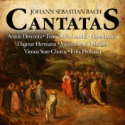Johann Sebastian Bach :  Cantatas