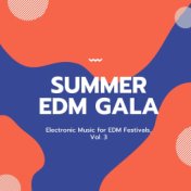 Summer EDM Gala - Electronic Music For EDM Festivals, Vol. 3