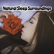 Natural Sleep Surroundings