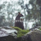 Wild Neutral Sounds