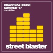 Crazybiza House (Summer '17)