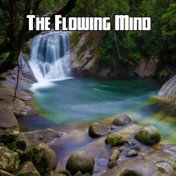 The Flowing Mind