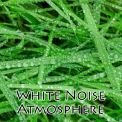 White Noise Atmosphere