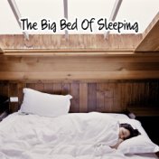 The Big Bed Of Sleeping