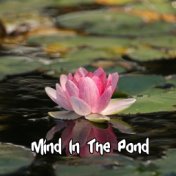 Mind In The Pond