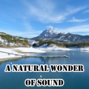 A Natural Wonder Of Sound