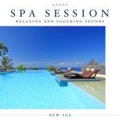 Spa Session: A Beautiful Collection of Relaxing and Soothing Sounds to take you Away from Stress and Anxiety and Place you among...