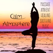 Calm Atmosphere - Massage Ambient Healing Soothing Music for Biofeedback Training Meditation Benefits with Nature Instrumental S...