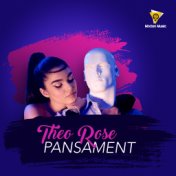 Pansament (Radio Edit)