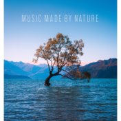 Music Made by Nature