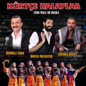 Kürtçe Halaylar (Vere Mala Me Dizika)