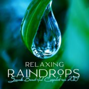 Relaxing Raindrops Sounds Beautiful Compilation 2019