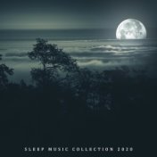 Sleep Music Collection 2020 - Relaxing Zen Music, Relaxation for Deep Sleep
