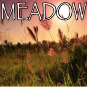 Meadow - Tribute to Stone Temple Pilots