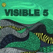 Visible 5