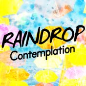 Raindrop Contemplation