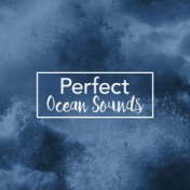 Perfect Ocean Sounds